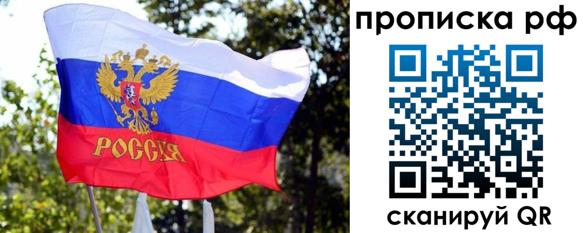 временная регистрация надежно в Калининградской области